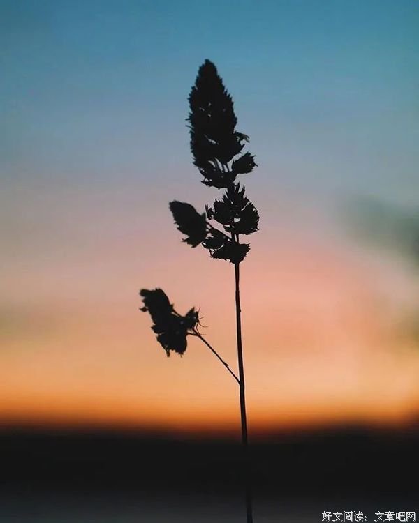 适合发朋友圈的45句人间绝句,人间绝句令人惊艳的诗句是什么