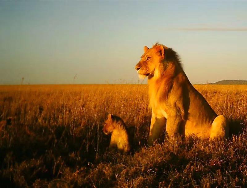 deepmind生物科技,deepmind生物学难题