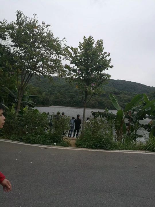 广州白云山游记作文,难忘的旅行广州白云山