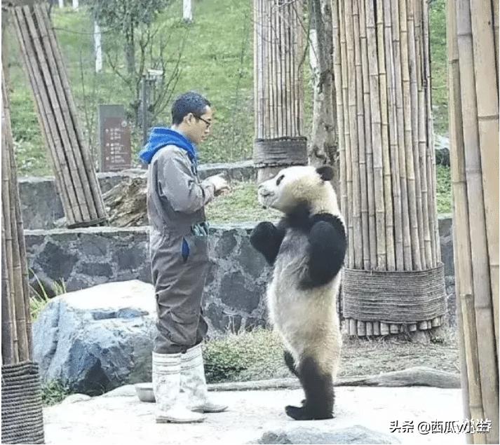 “出来按摩遇到了前女友，这下尴尬了”哈哈哈哈我该怎么办？