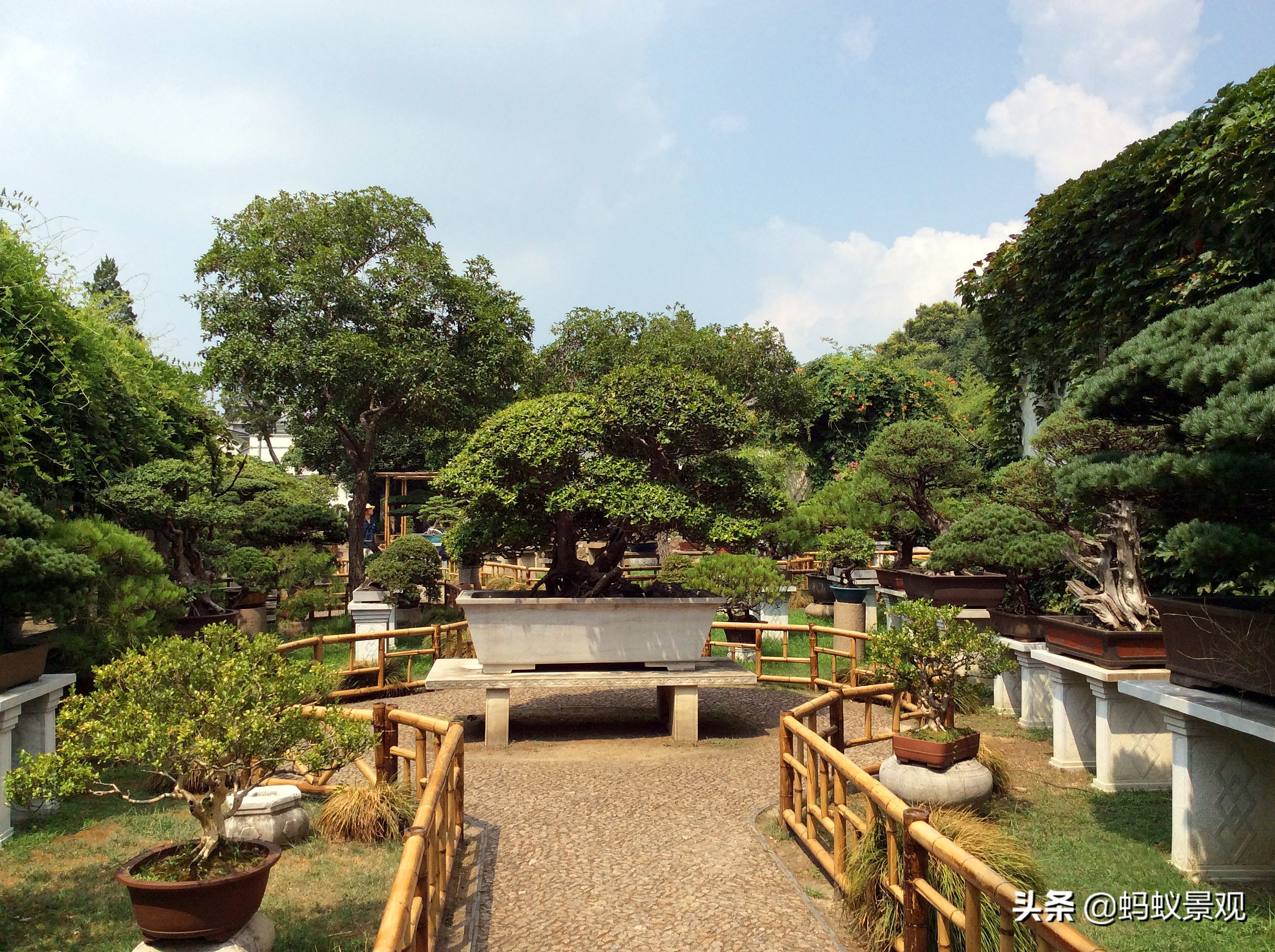 留园建筑分布图,留园建筑艺术分析