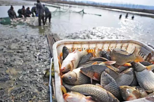 洛阳冷门景点,洛阳冷门好玩的地方