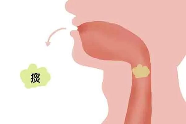 每天早上喝一杯蜂蜜水好处与坏处,每天喝一杯蜂蜜水对身体有好处吗