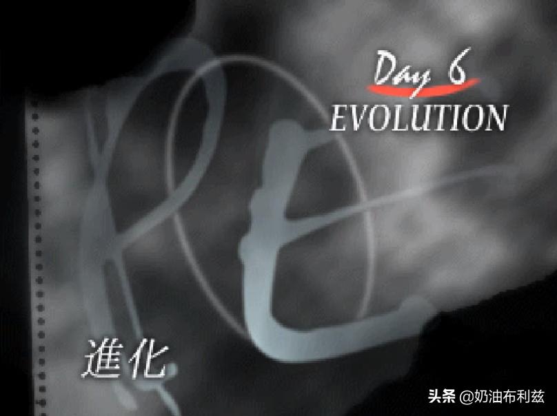 SE,你还记得大明湖畔的《寄生前夜》和《北欧女神》吗?