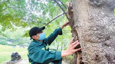 森呼吸园林,郑州北三环园林景观小区