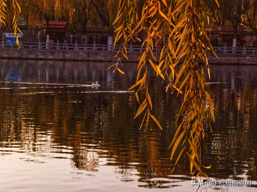 济南的冬天老舍,济南的冬天原文电子版