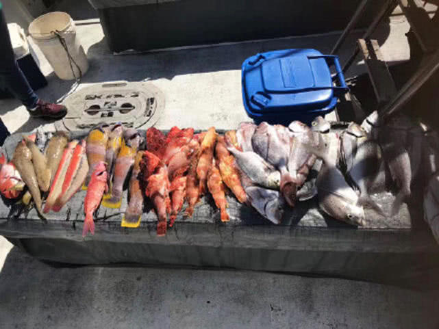 在澳洲的生活是一种怎样的体验：这边的人很懒，非常喜欢钓鱼