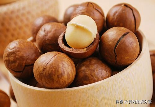 哪些水果狗狗吃了不上火,哪些水果狗狗不能吃