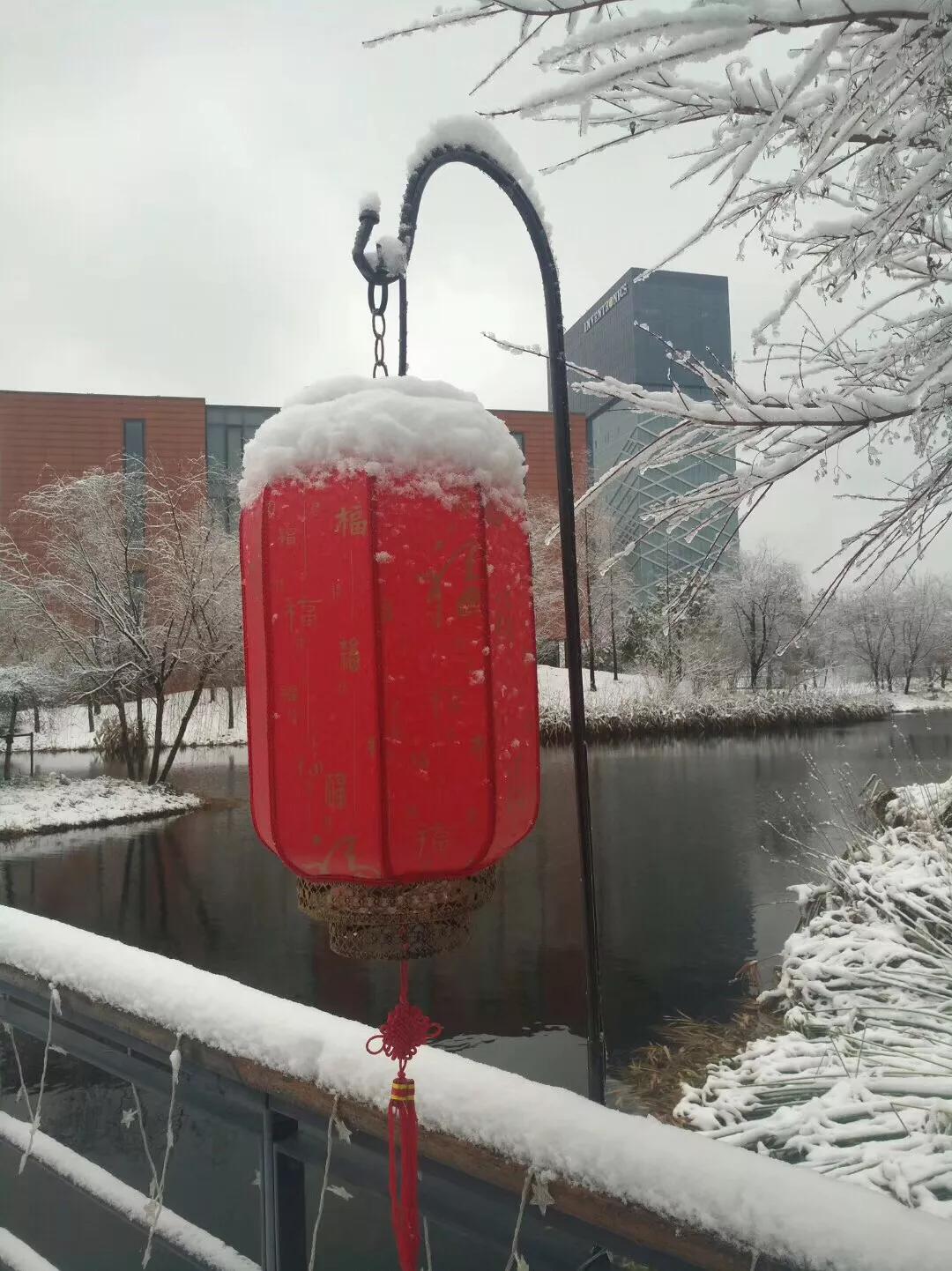 华为园区美如画，被吐槽说难怪华为人这么喜欢加班