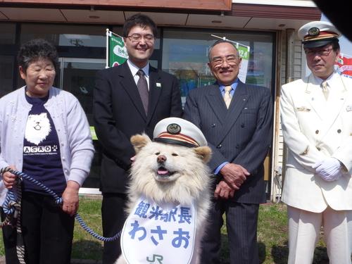 日本网红狗狗去世,日本狗死了
