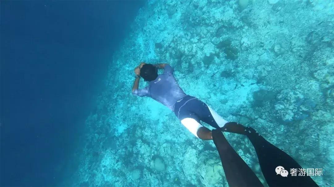 马尔代夫jv岛攻略,马尔代夫v岛