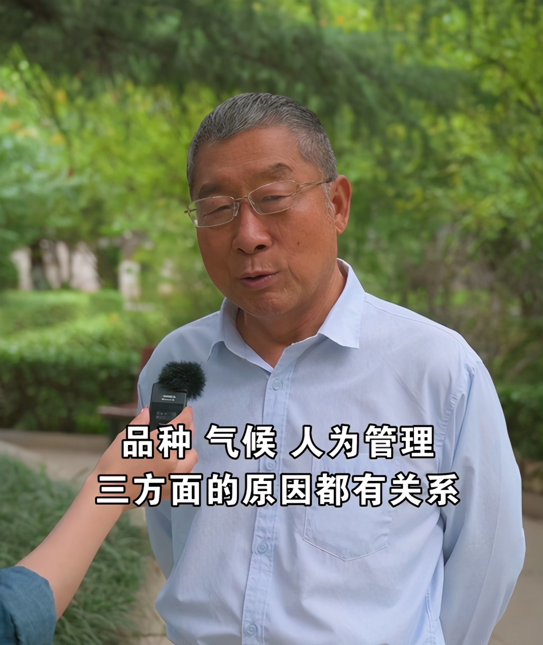 5月份梨树开花怎么回事,九月份梨树开花了是啥征兆