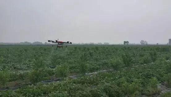 植保无人机打什么药最好,无人机打药对农作物的好处