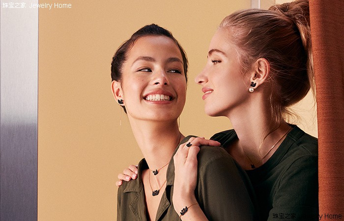 整箱梵克雅宝胸针,梵克雅宝胸针基本款