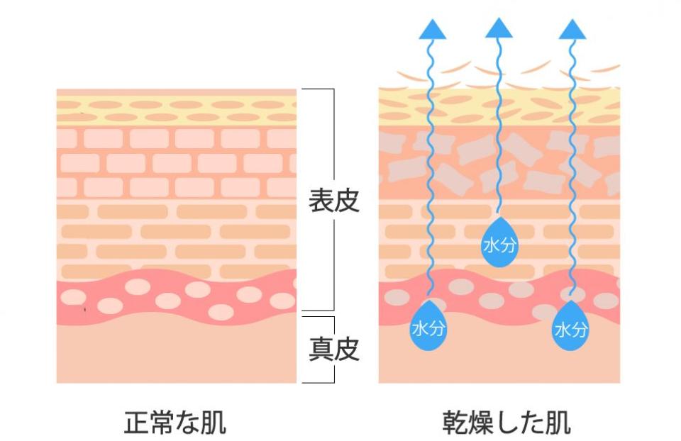 毛孔粗大收缩毛孔哪款爽肤产品好,毛孔粗大收缩毛孔最有效的产品