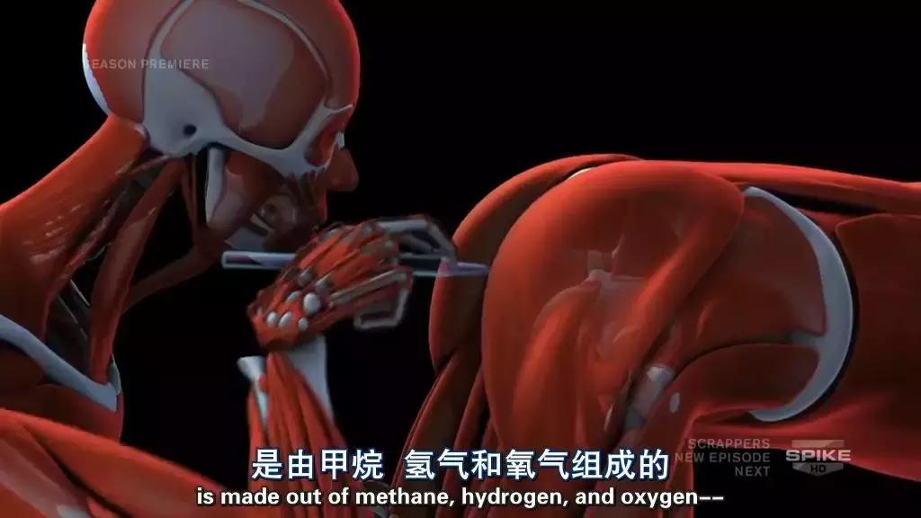 人类的1000种死法，真实版死神来了！