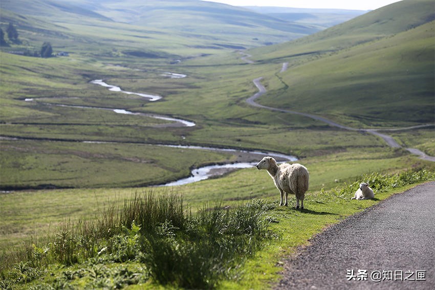 古堡与自然！那些只在电影中出现，你所不知道的多样威尔士