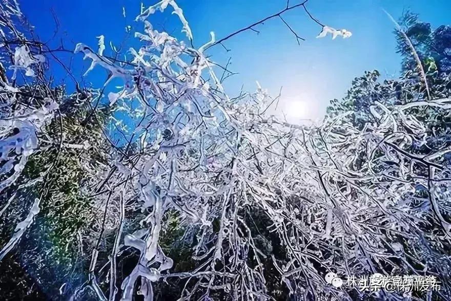 大家好，我叫炎陵，这是我的自我介绍，我想让你更懂我