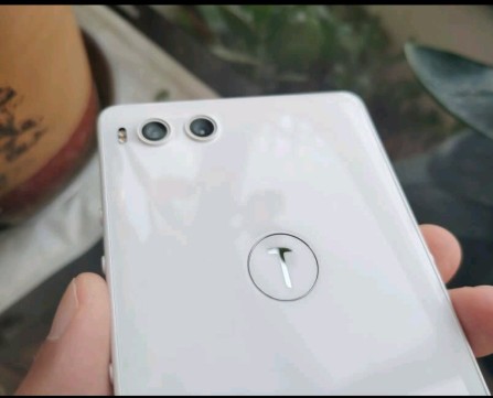 全民话题社罗永浩舌战王自如后续,罗永浩舌战王自如后续造成的影响