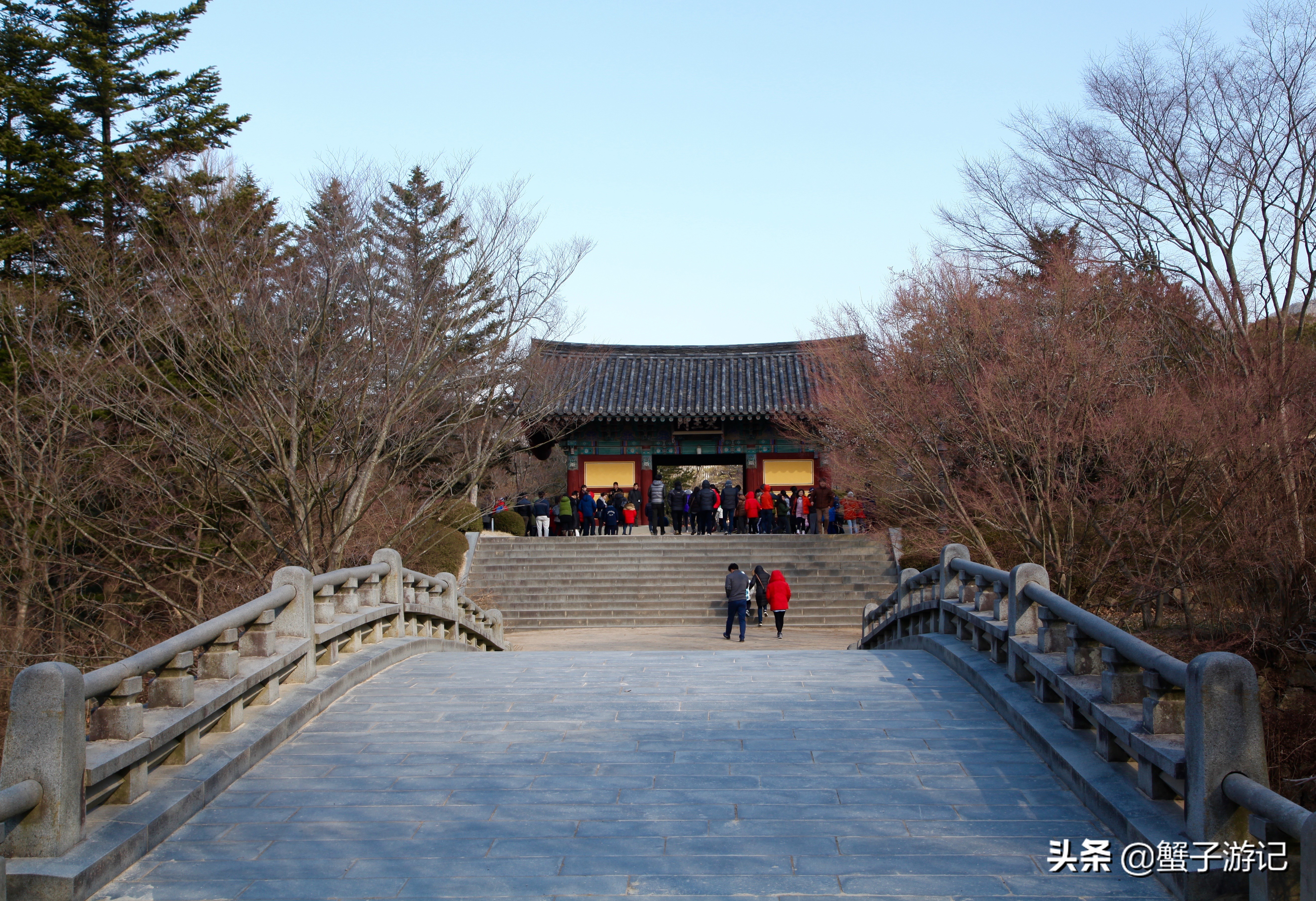 这里是疫情期间韩国的重度区，但它至今仍美丽依旧