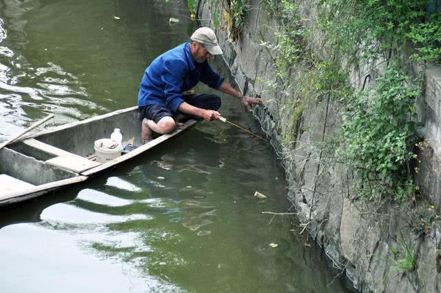 为什么河岸边石头缝里钓到的黄鳝更肥更大?老头给了我答案