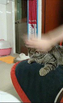 搞笑GIF：看来姑娘就是喜欢不平凡啊