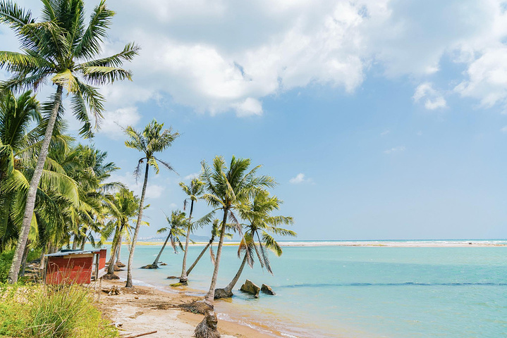 在这个夏天结束前来三亚见一面吧！三亚尾波冲浪依旧在这里等你来