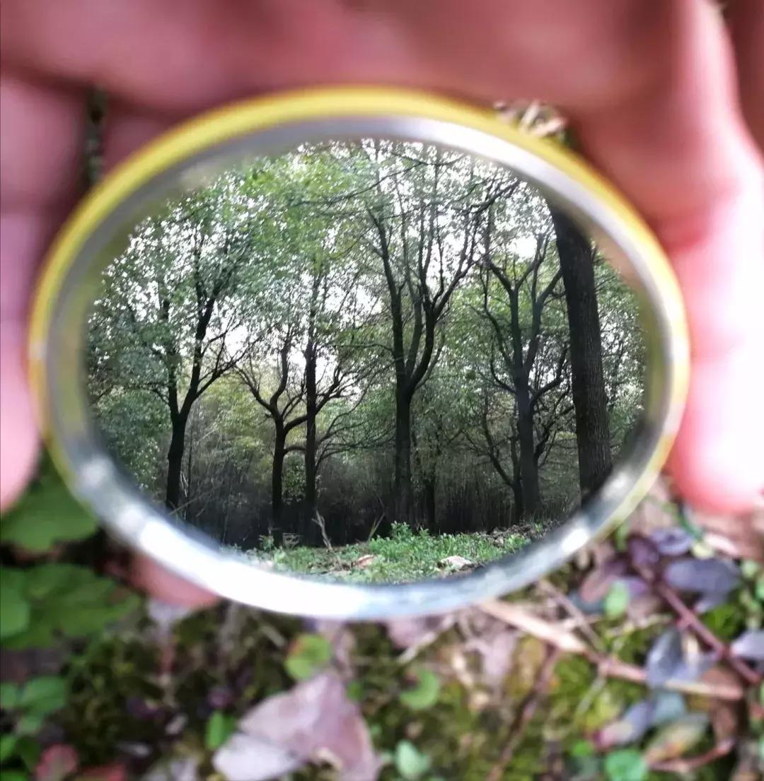 镜中的武工院，是最美？妙不可言？