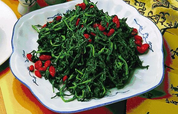 野生沙葱味道怎么样,沙葱为啥有苦味