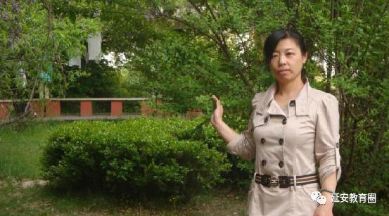 2023年延安区级教学能手公示,延安市2020年市级教学能手名单