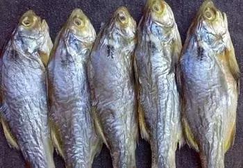 快死的鱼变活鱼，竟然只要往鱼嘴里加点这个就可以实现了