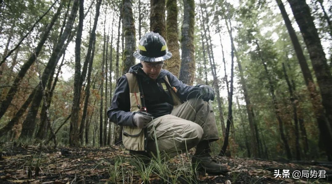 全球森林面积最低的国家排名,亚洲面积最大的人工红松森林