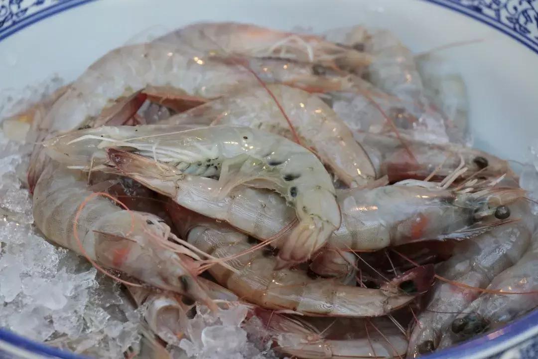 北京方恒假日酒店海鲜烧烤自助,北京方恒假日酒店住宿团购