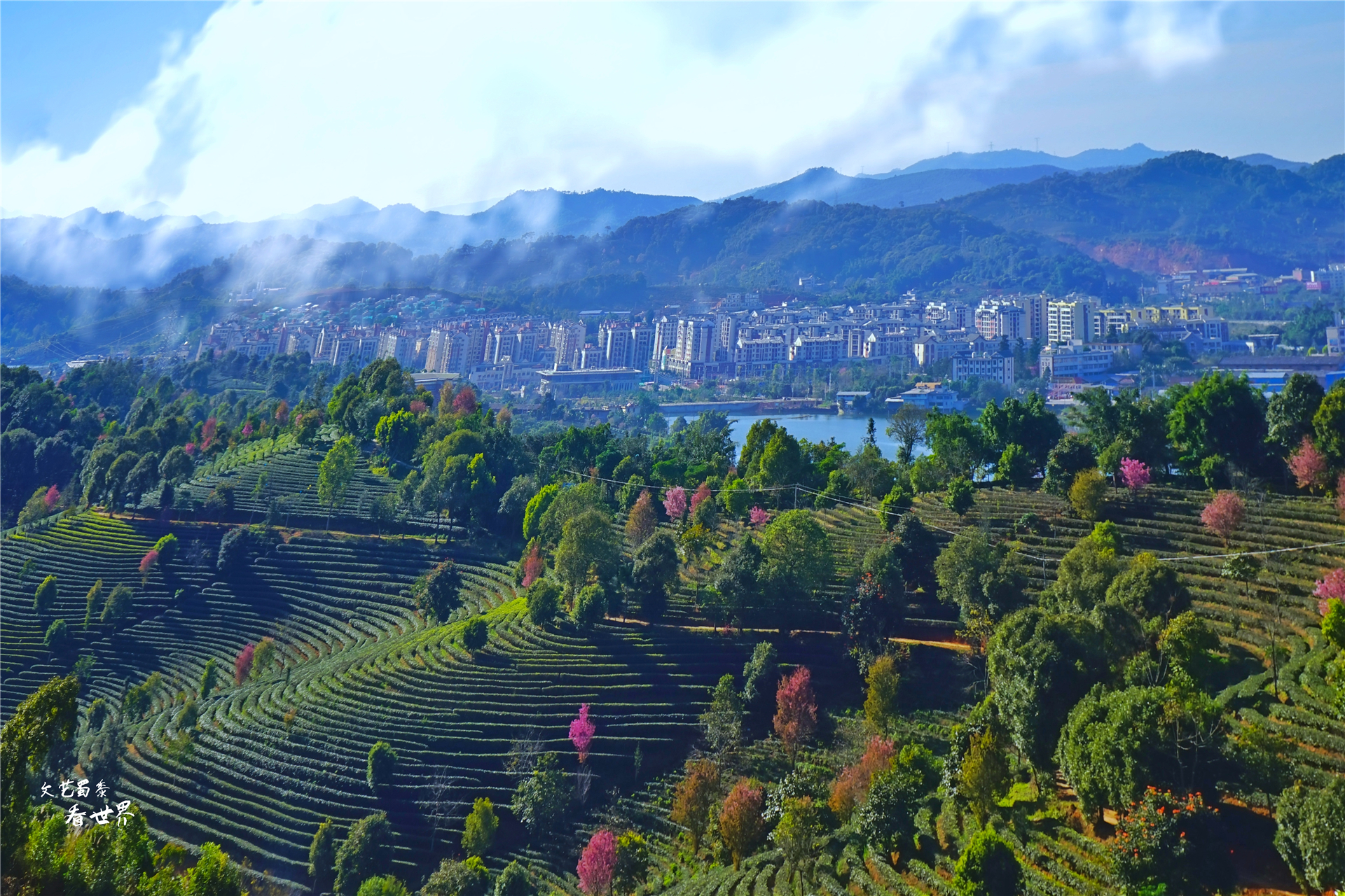 云南旅居半个月住哪合适西双版纳,西双版纳哪个地方过冬的北方人多