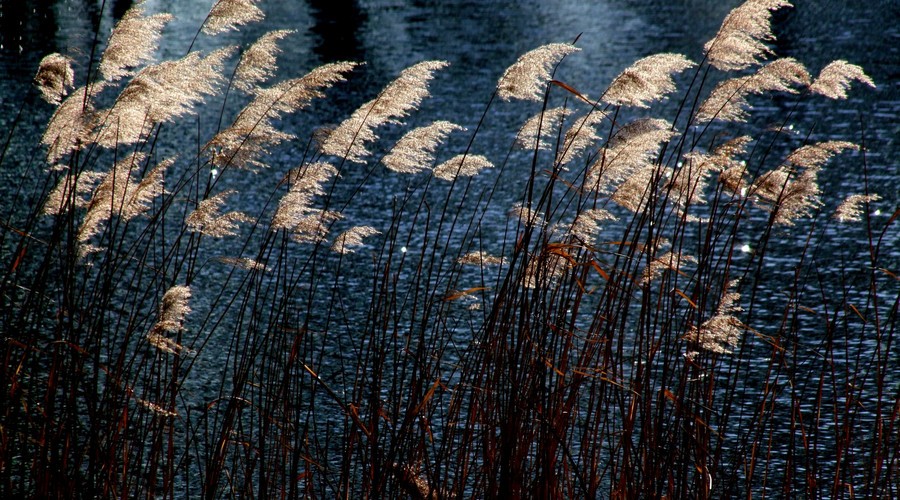 宋词最深情的十句最有名的诗句,十句最深情的诗词古文