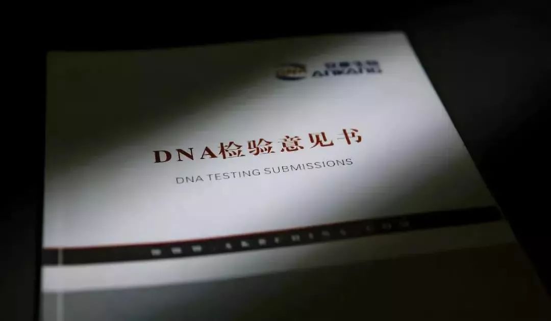 亲子鉴定师真实性,亲子鉴定师手记真实事件
