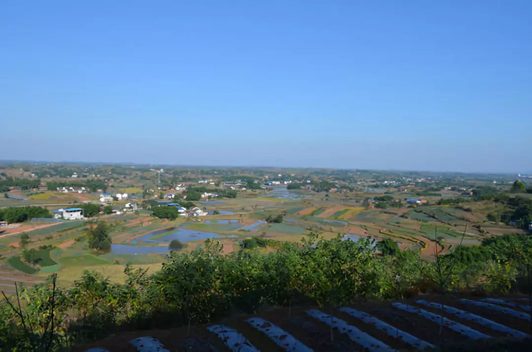 阅车无数的车型,比亚迪速锐手动十大忠告