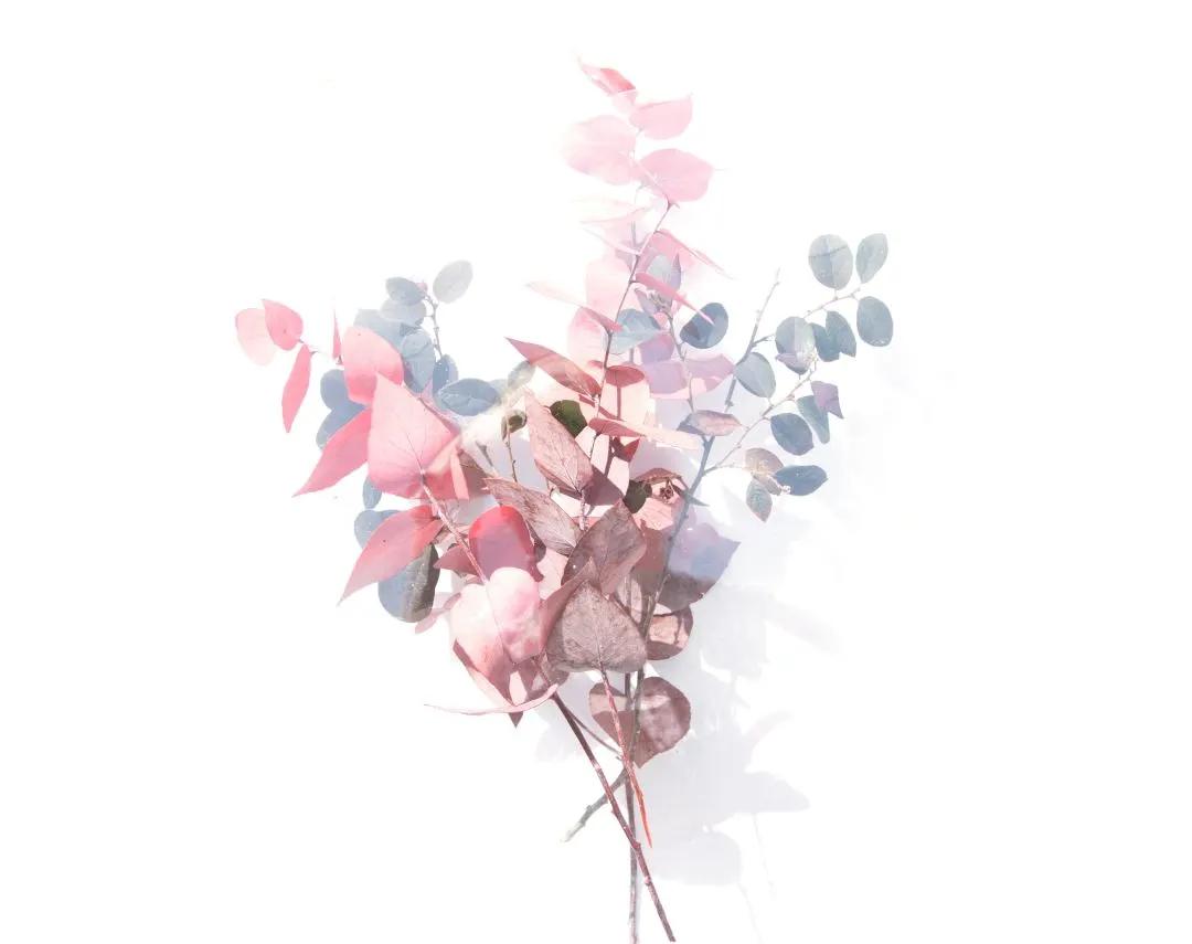 不忘初心砥砺前行抗击疫情,抗击新冠肺炎医疗队逆行出征