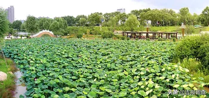 梅河口城市漂亮,梅河口是一座很美的小城