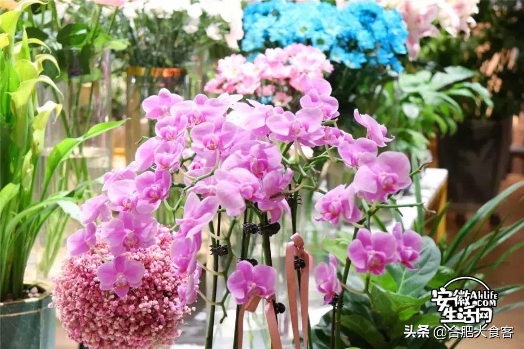 合肥经开区进口超市,合肥大型进口商品超市