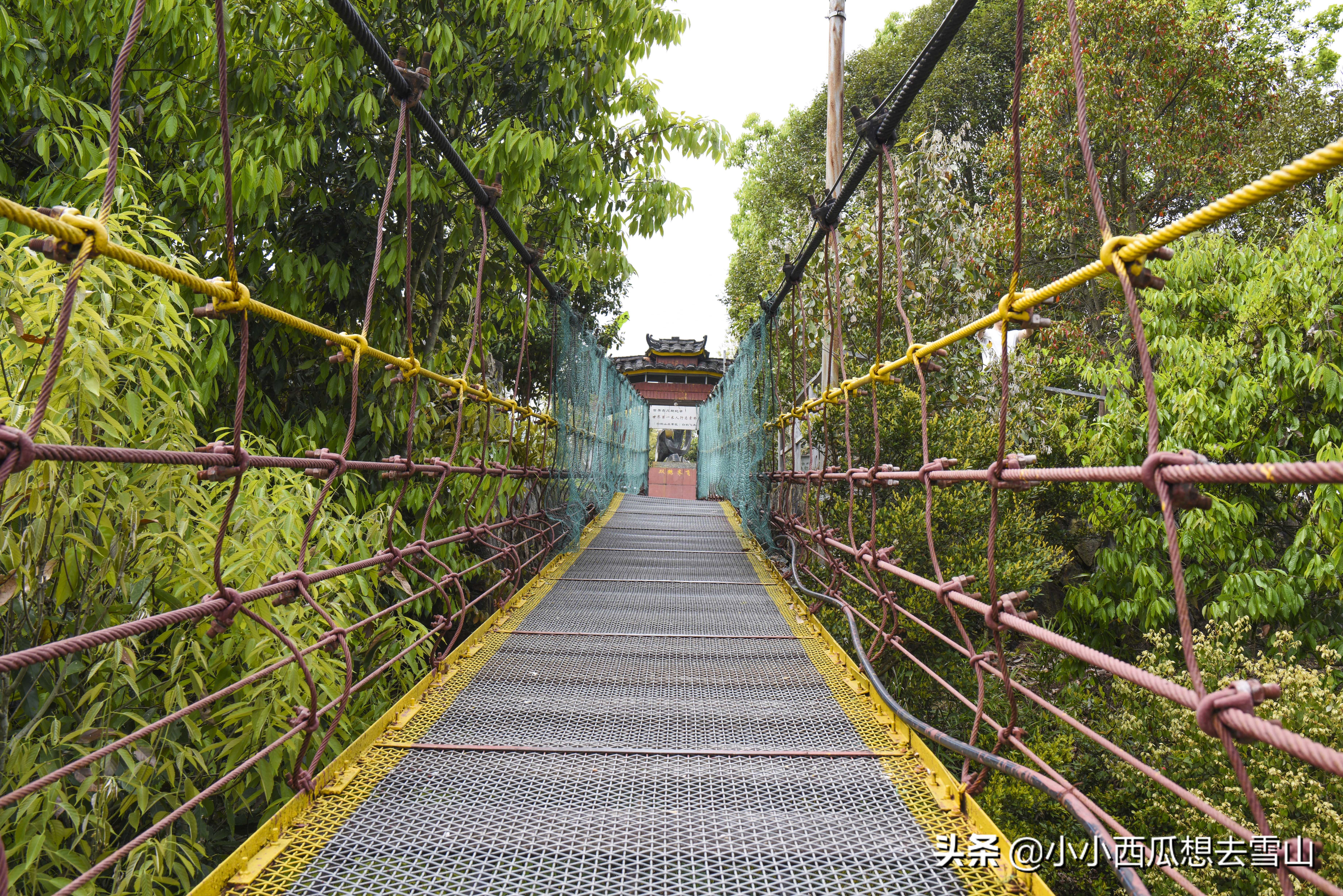 浙南小众宝藏旅行地,浙江温州灵溪铁索桥景点