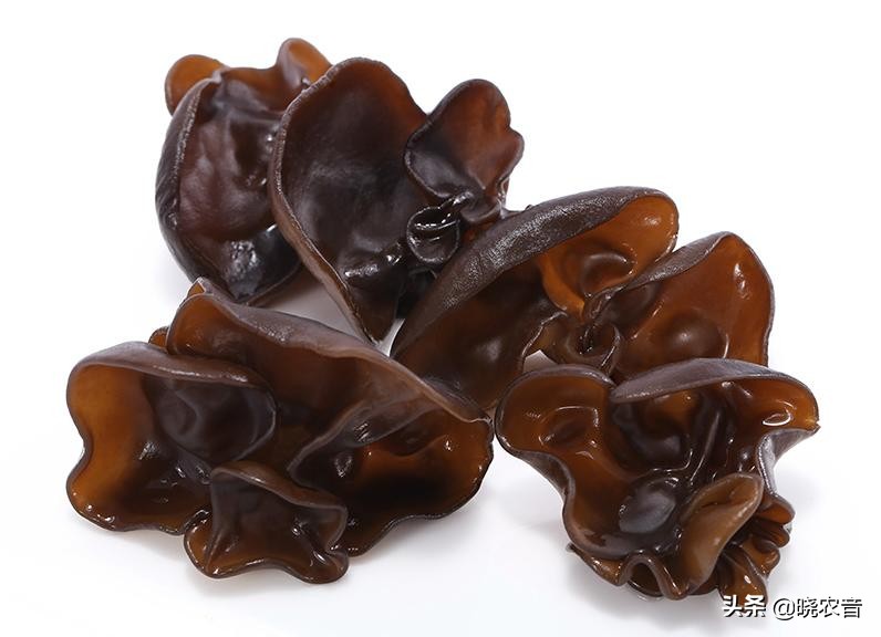 黑木耳正常价格是多少,黑木耳现在有多少钱