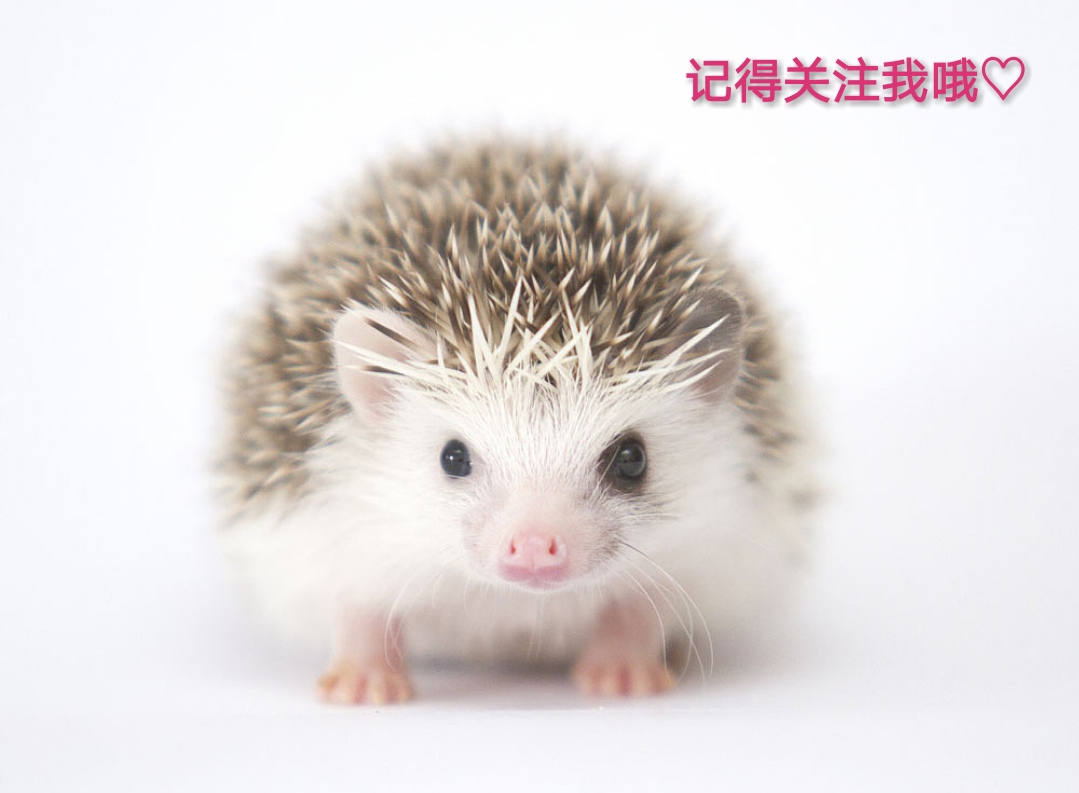 沧海一声笑钢琴曲谱双手指法,沧海一声笑古筝终极版古筝谱