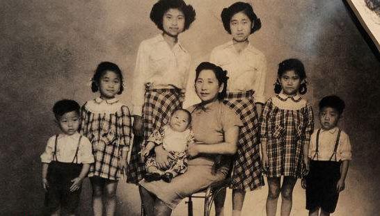 肥肥郑少秋郑欣宜,肥肥走后郑少秋管郑欣宜吗