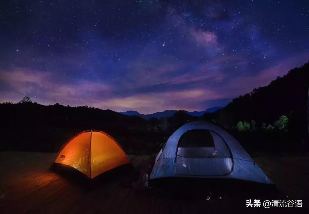老茶新酒——与香港籍“老村长”星空下的漫谈