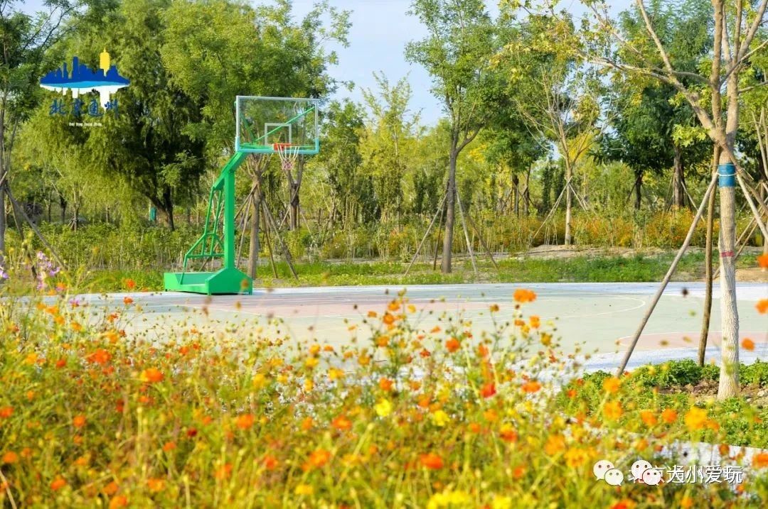 北京室内温泉游乐场,北京室内运动游乐场