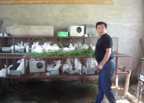 适合30岁在家创业的小本生意,适合农民干的冷门创业