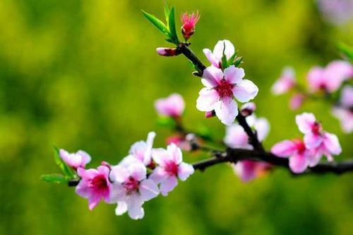 钢铁是怎样炼成的读书笔记感悟,爱上阅读悦享人生