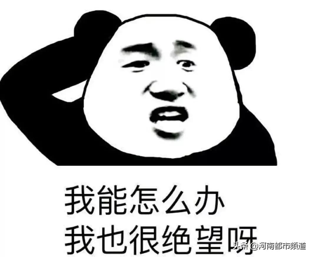 鞋子颜色粉白还是灰绿,粉白还是灰绿鞋子揭秘