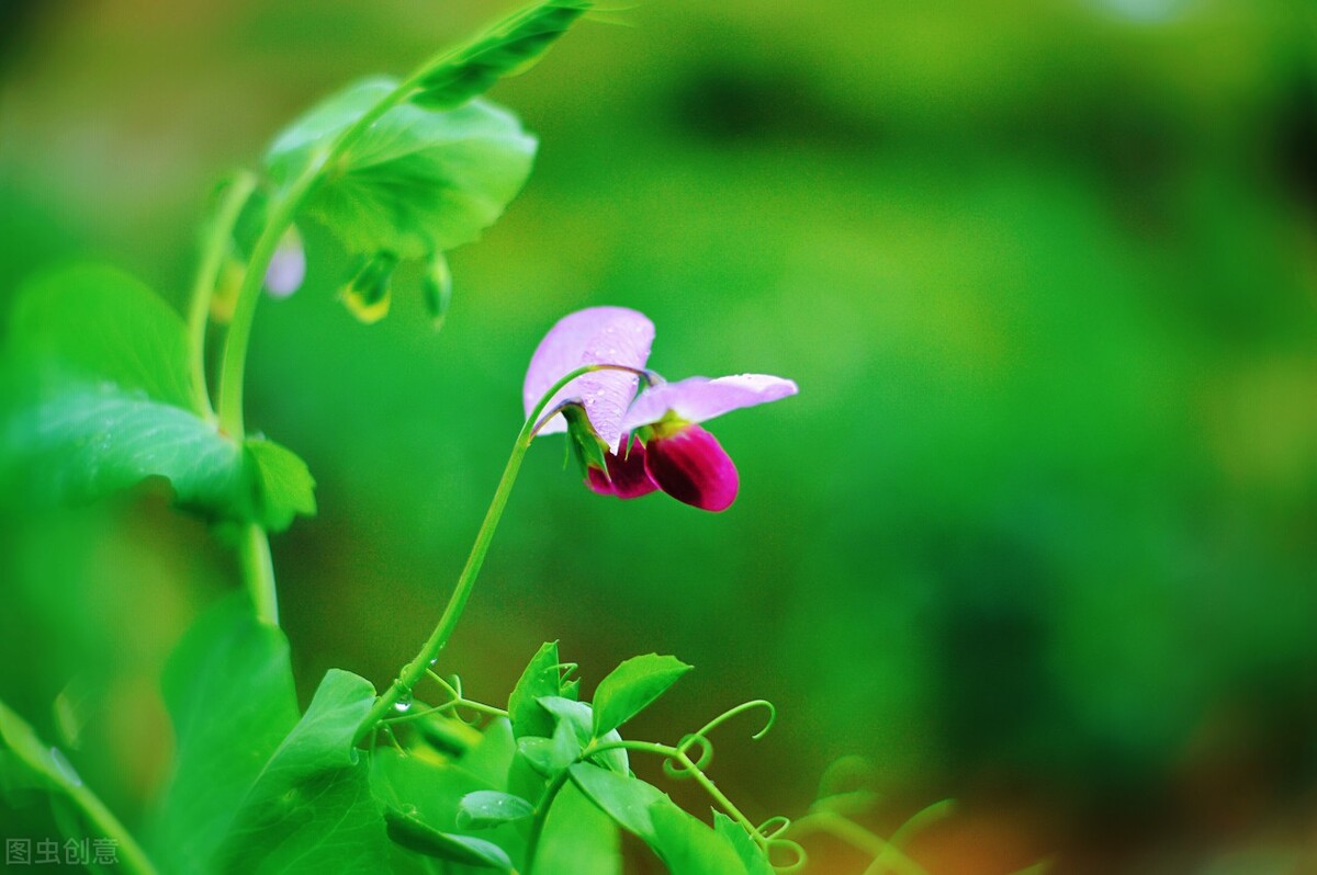 一本书改变了我的命运,一本书改变认知